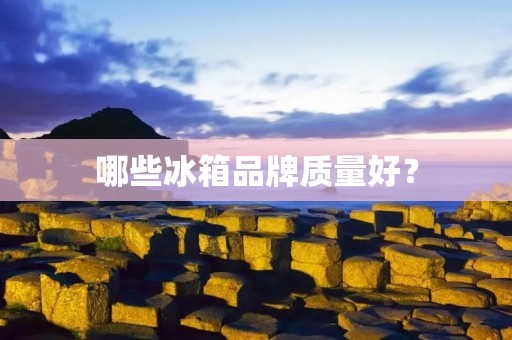 哪些冰箱品牌质量好？
