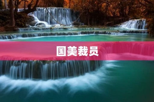 国美裁员：企业转型浪潮中的残酷现实