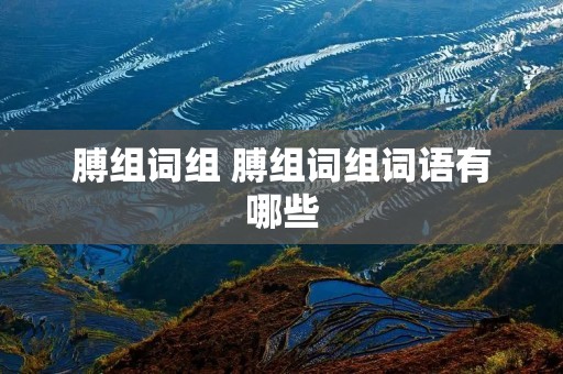 膊组词组 膊组词组词语有哪些