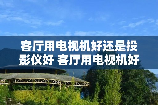 客厅用电视机好还是投影仪好 客厅用电视机好还是投影仪好用 客厅用电视机好还是投影仪好 客厅用电视机好还是投影仪好用