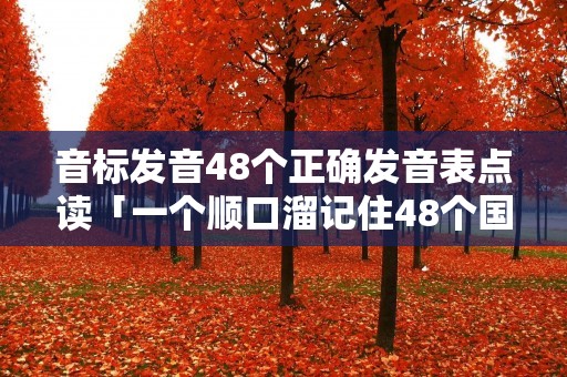音标发音48个正确发音表点读「一个顺口溜记住48个国际音标」