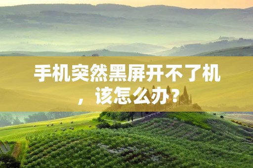手机突然黑屏开不了机,该怎么办?