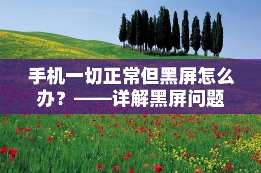 手机一切正常但黑屏怎么办?——详解黑屏问题