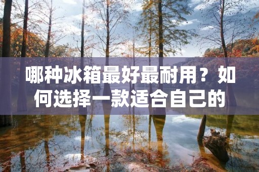 哪种冰箱最好最耐用？如何选择一款适合自己的冰箱？这是许多消费者在购买冰箱时经常遇到的问题。在市场上，冰箱品牌众多，产品类型繁多，价格也相差甚远，消费者很难在众多产品中选择到一款性价比高、品质可靠的冰箱。本文将从品牌、型号、功能、能耗等多个方面，为大家详细介绍如何选购最好最耐用的冰箱。