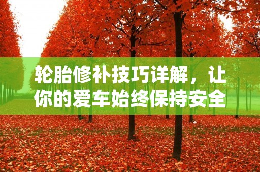 轮胎修补技巧详解,让你的爱车始终保持安全 轮胎修补技巧详解,让你的爱车始终保持安全