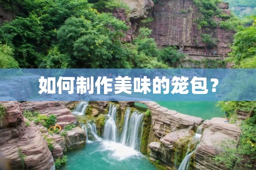 如何制作美味的笼包? 如何制作美味的笼包?