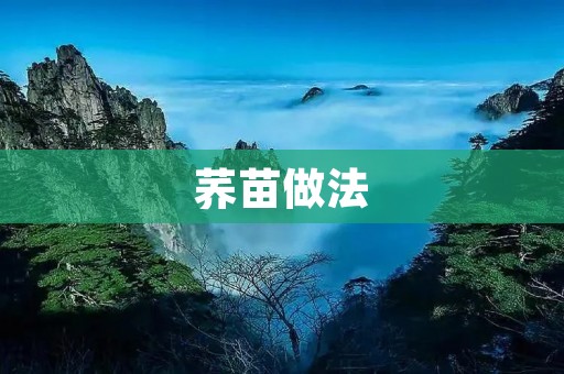 荞苗做法:健康营养的美味选择 荞苗做法:健康营养的美味选择