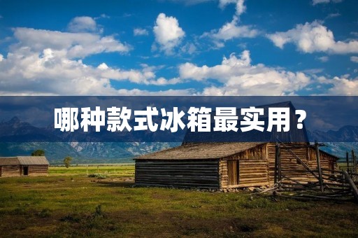 哪种款式冰箱最实用? 哪种款式冰箱最实用?