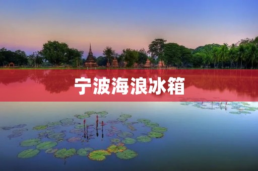 宁波海浪冰箱:品质与服务并重的选择 宁波海浪冰箱:品质与服务并重的选择