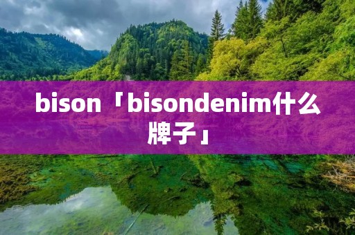 bison「bisondenim什么牌子」