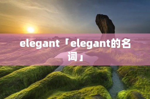 elegant「elegant的名词」