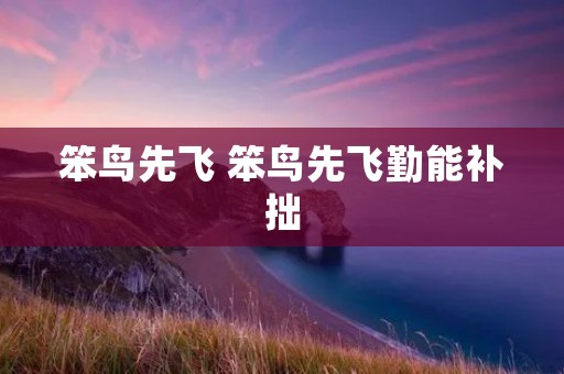 笨鸟先飞 笨鸟先飞勤能补拙