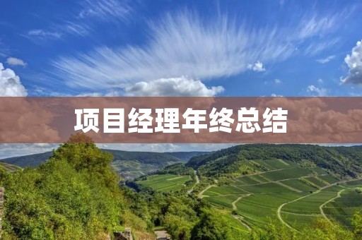 项目经理年终总结:成长、挑战与收获