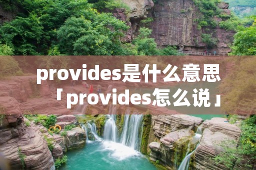 provides是什么意思「provides怎么说」
