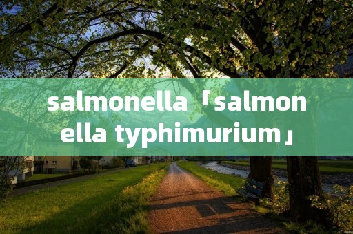salmonella「salmonella typhimurium」