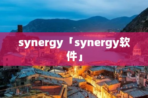 synergy「synergy软件」