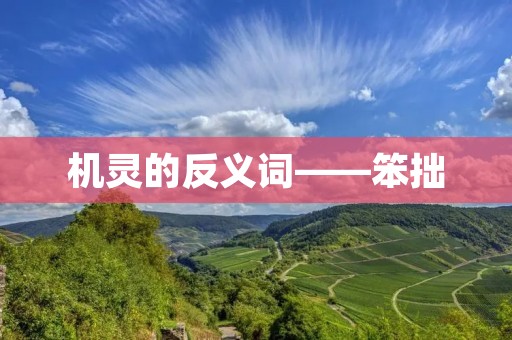 机灵的反义词——笨拙