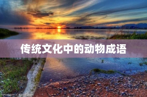 传统文化中的动物成语