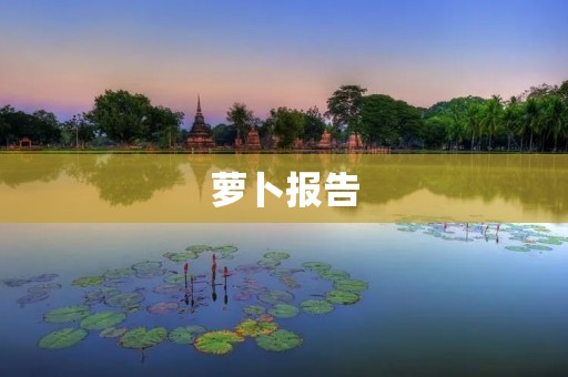 萝卜报告:揭示营养与药用价值 萝卜报告:揭示营养与药用价值