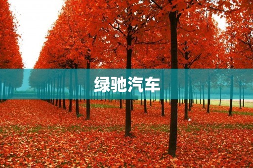 绿驰汽车：以科技创新为引擎，引领智能出行新时代