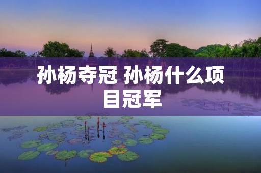 孙杨夺冠 孙杨什么项目冠军