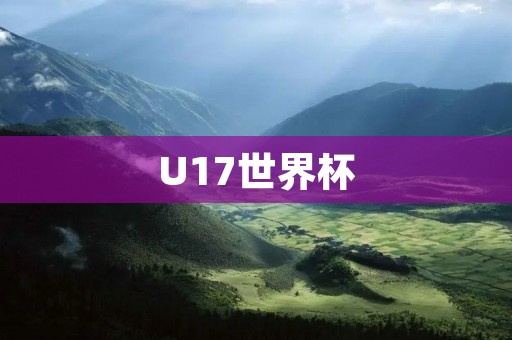U17世界杯:青春的舞台,梦想的起点 U17世界杯:青春的舞台,梦想的起点