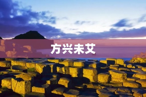 方兴未艾:未来也将继续蓬勃发展