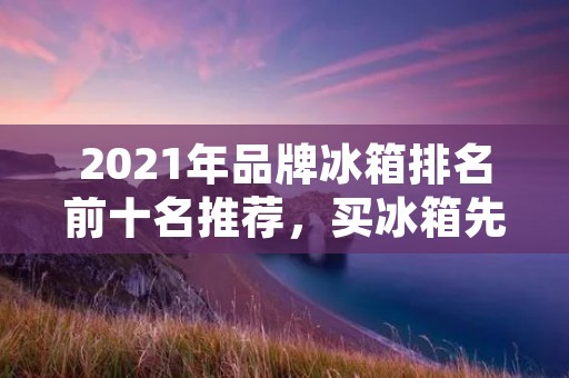 2021年品牌冰箱排名前十名推荐，买冰箱先看这里！