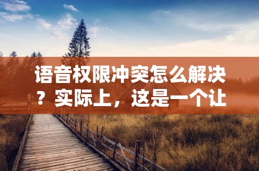 语音权限冲突怎么解决?实际上,这是一个让人头疼的问题。在当下的移动设备和智能家居中,语音控制已经成为了越来越普遍的一种交互方式。但随着各种设备的增多,不同设备之间的权限冲突也随之而来。比如,当你在家中同时使用了智能音箱和手机,你就可能会遇到这样的问题:你对智能音箱说“打开空调”,但音箱无法执行命令,而是提示你去手机上一键连接空调。这种情况下,就需要解决语音权限冲突。