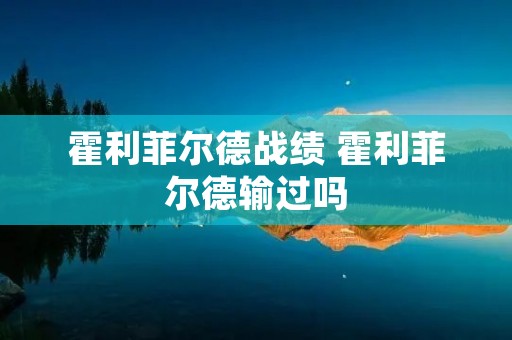 霍利菲尔德战绩 霍利菲尔德输过吗 霍利菲尔德战绩 霍利菲尔德输过吗