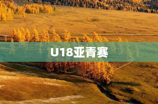 U18亚青赛：中国足球新生力量的崛起