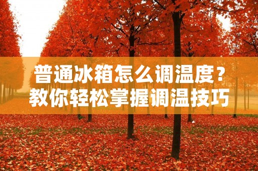 普通冰箱怎么调温度？教你轻松掌握调温技巧