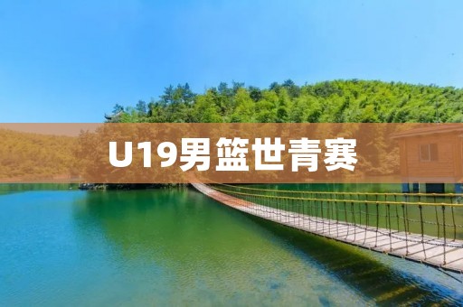 U19男篮世青赛：中国队表现出色