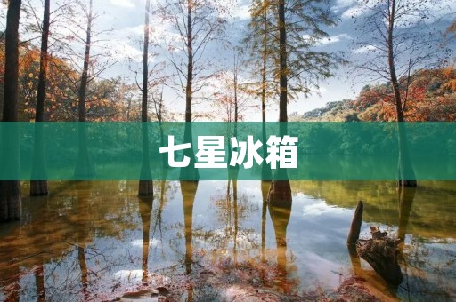 七星冰箱：名牌还是普通品牌？