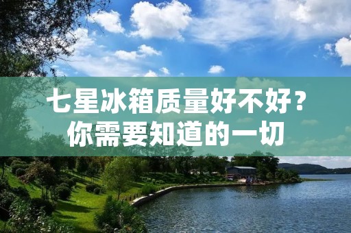 七星冰箱质量好不好？你需要知道的一切