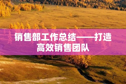 销售部工作总结——打造高效销售团队