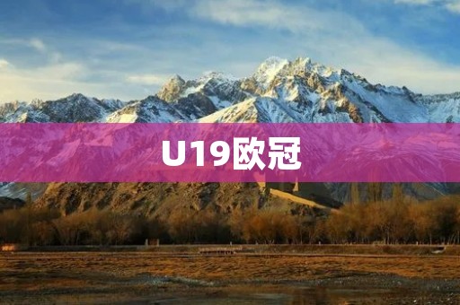 U19欧冠：未来足球之星的舞台