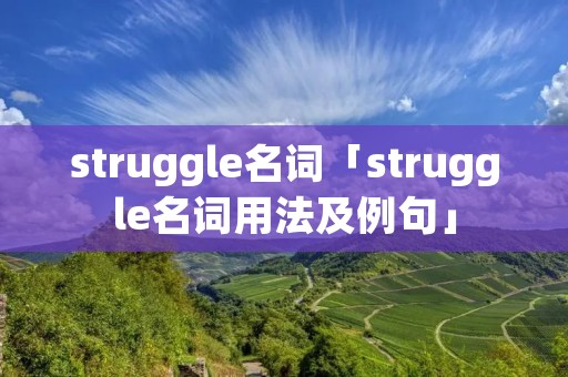 struggle名词「struggle名词用法及例句」