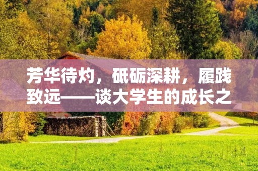 芳华待灼,砥砺深耕,履践致远——谈大学生的成长之路