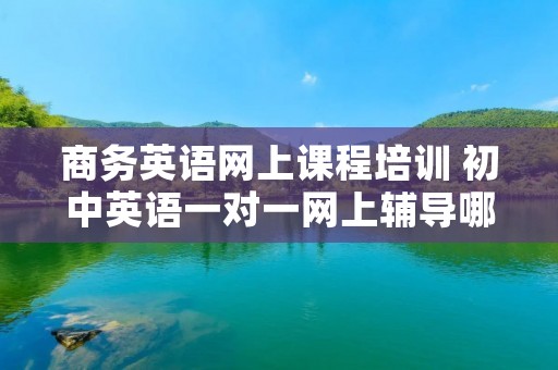 商务英语网上课程培训 初中英语一对一网上辅导哪家好 商务英语网上课程培训 初中英语一对一网上辅导哪家好