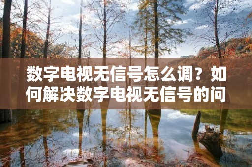 数字电视无信号怎么调?如何解决数字电视无信号的问题?这是很多数字电视用户经常遇到的问题。如果在使用数字电视时出现无信号的情况,该怎么解决呢?本文将为大家介绍数字电视无信号的原因以及解决方法。