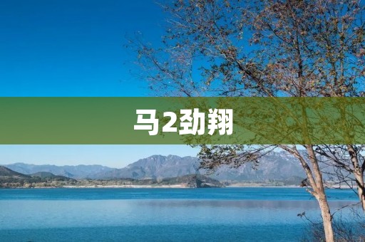 马2劲翔：跑车界的黑马