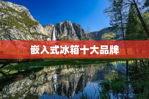 嵌入式冰箱十大品牌：质量与服务并重，打造高品质生活
