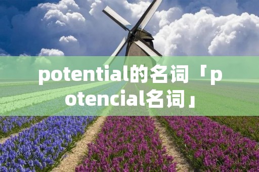 potential的名词「potencial名词」