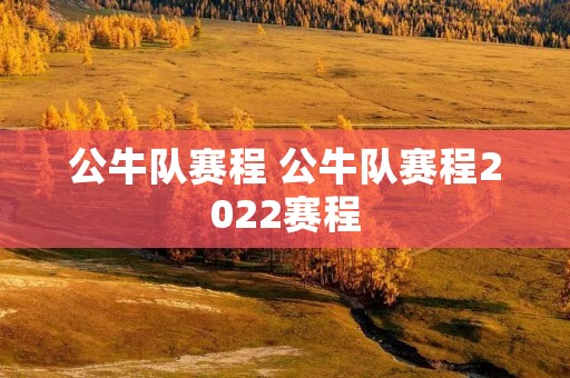 公牛队赛程 公牛队赛程2022赛程