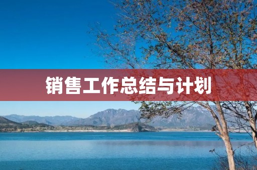 销售工作总结与计划