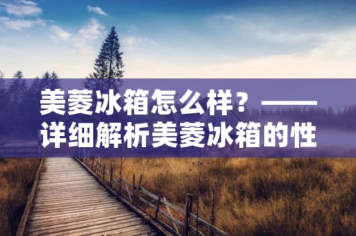 美菱冰箱怎么样？——详细解析美菱冰箱的性能与功能