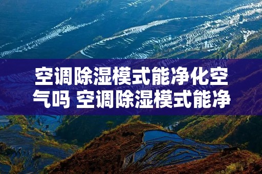 空调除湿模式能净化空气吗 空调除湿模式能净化空气吗