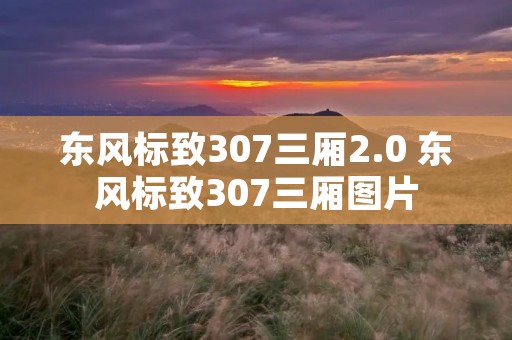 东风标致307三厢2.0 东风标致307三厢图片