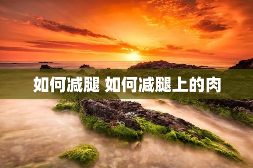 如何减腿 如何减腿上的肉